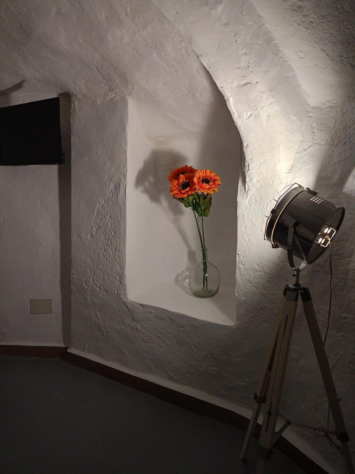 Encantadora Casa-Cueva En Pleno Barrio Alfarero De 尼哈尔 外观 照片